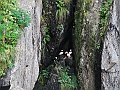 Alaska Wildlife-67